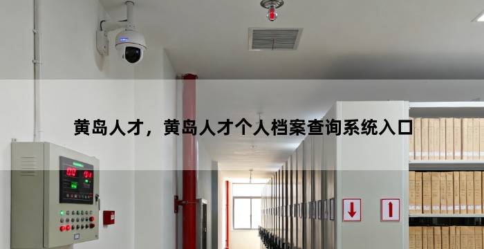 黄岛人才,黄岛人才个人档案查询系统入口