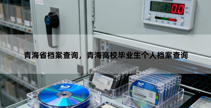 青海省档案查询,青海高校毕业生个人档案查询