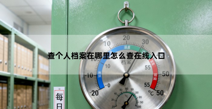 查个人档案在哪里怎么查在线入口