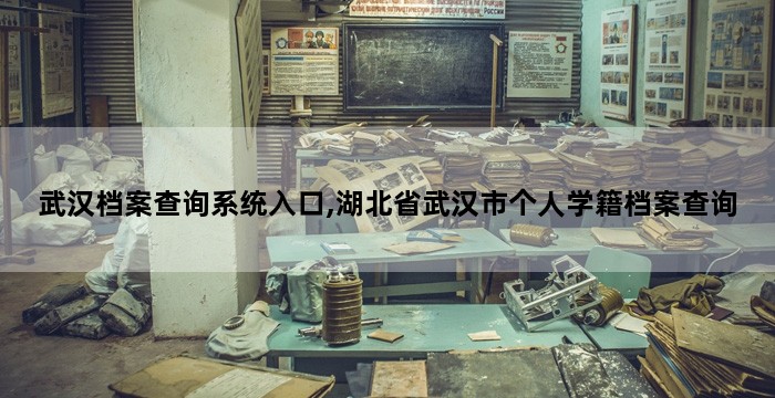 武汉档案查询系统入口,湖北省武汉市个人学籍档案查询