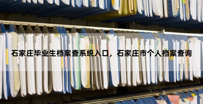石家庄毕业生档案查系统入口，石家庄市个人档案查询