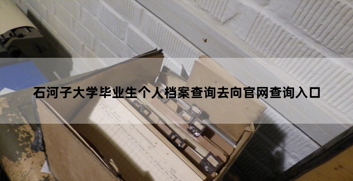 石河子大学毕业生个人档案查询去向官网查询入口