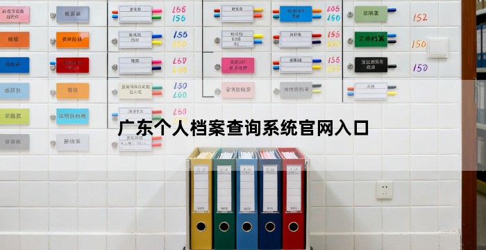 广东个人档案查询系统官网入口