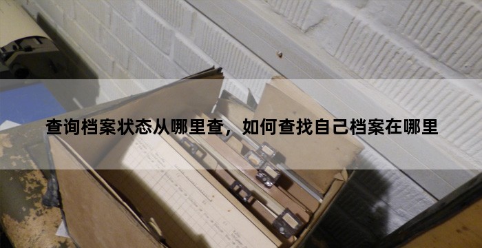 查询档案状态从哪里查，如何查找自己档案在哪里