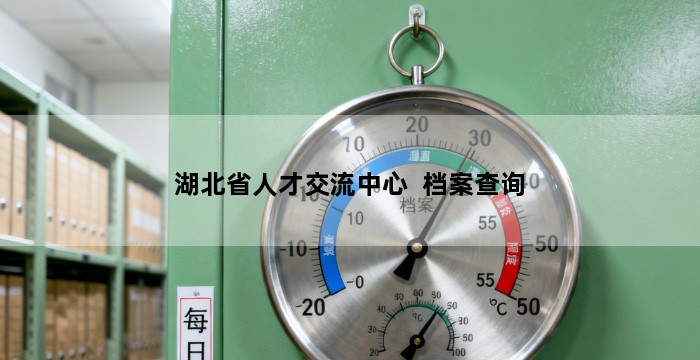湖北省人才交流中心 档案查询