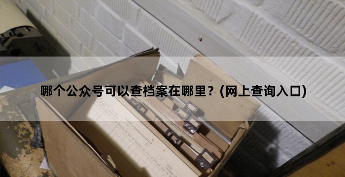 哪个公众号可以查档案在哪里？(网上查询入口)