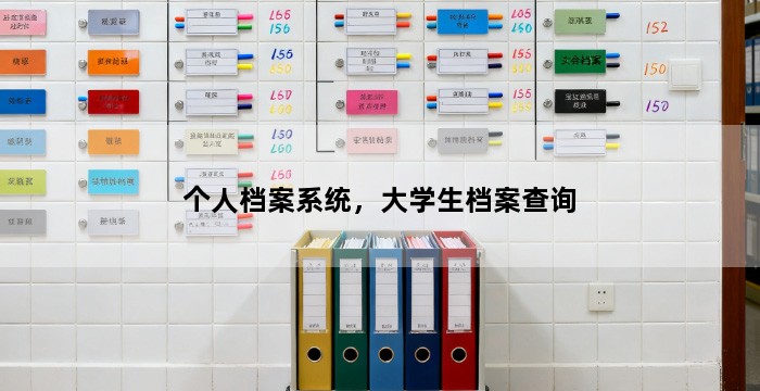 个人档案系统，大学生档案查询