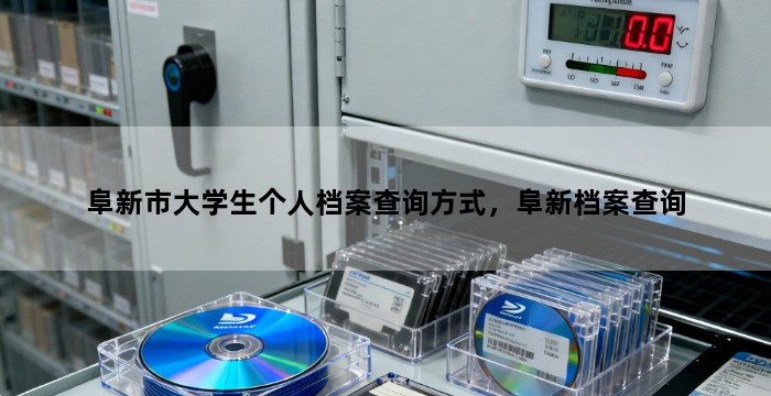 阜新市大学生个人档案查询方式，阜新档案查询