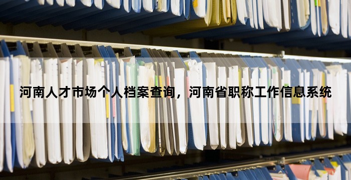 河南人才市场个人档案查询,河南省职称工作信息系统