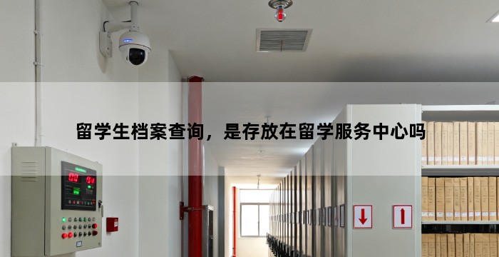 留学生档案查询，是存放在留学服务中心吗
