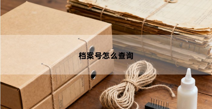 档案号怎么查询