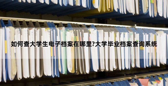 如何查大学生电子档案在哪里?大学毕业档案查询系统