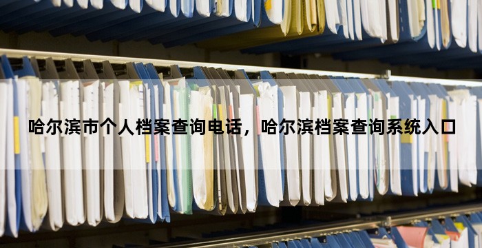 哈尔滨市个人档案查询电话，哈尔滨档案查询系统入口