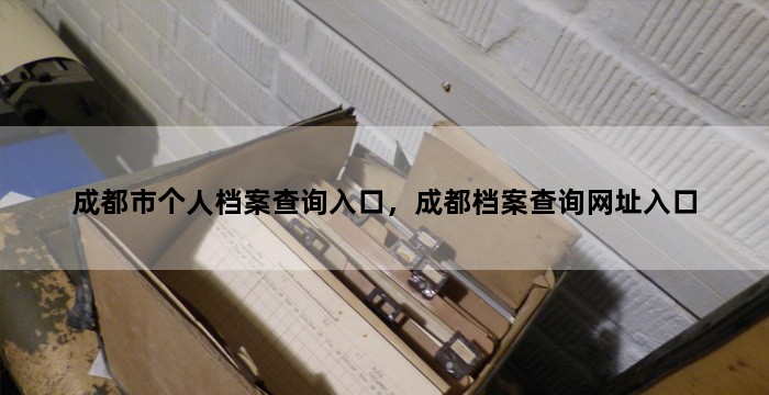 成都市个人档案查询入口，成都档案查询网址入口