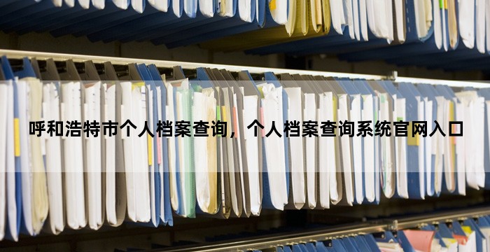 呼和浩特市个人档案查询,个人档案查询系统官网入口