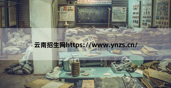云南招生网https://www.ynzs.cn/