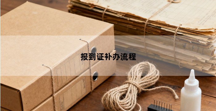报到证补办流程