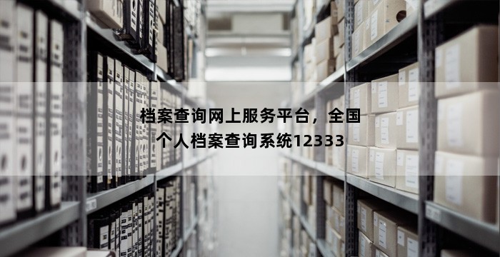 档案查询网上服务平台，全国个人档案查询系统12333