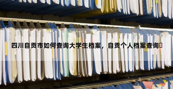 四川自贡市如何查询大学生档案，自贡个人档案查询​