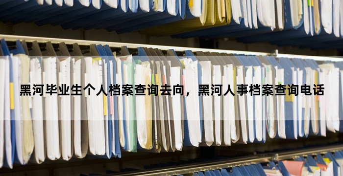 黑河毕业生个人档案查询去向，黑河人事档案查询电话