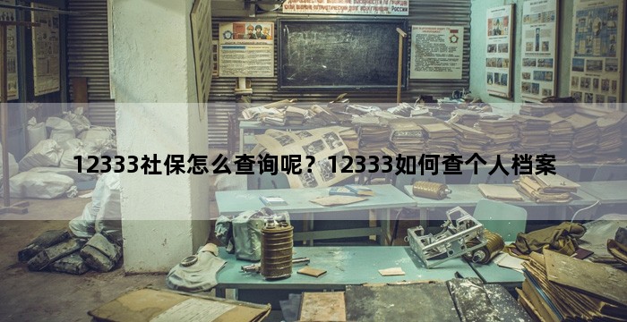 12333社保怎么查询呢？12333如何查个人档案