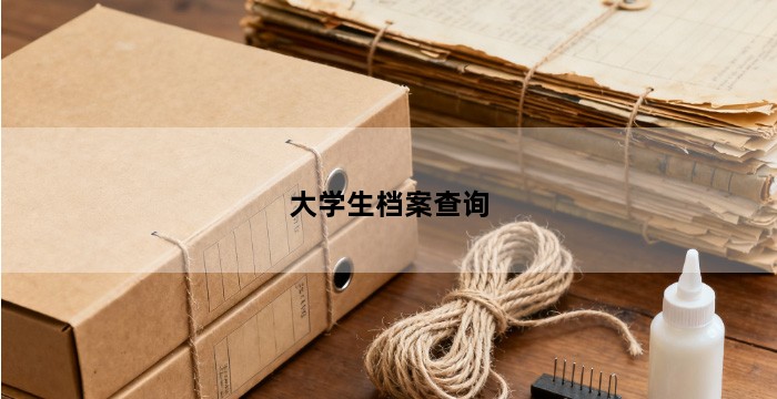 大学生档案查询