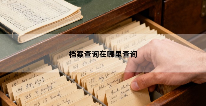 档案查询在哪里查询