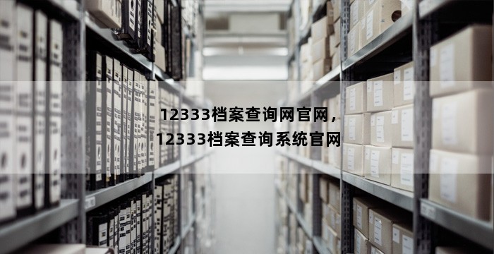 12333档案查询网官网，12333档案查询系统官网