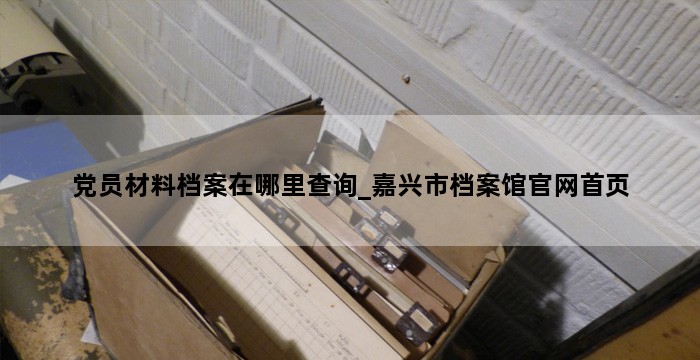 党员材料档案在哪里查询_嘉兴市档案馆官网首页