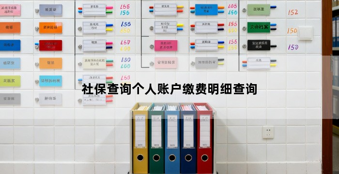 社保查询个人账户缴费明细查询