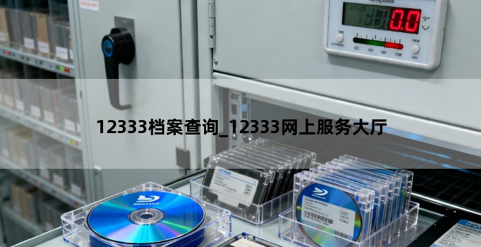 12333档案查询_12333网上服务大厅