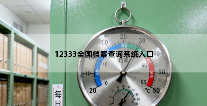 12333全国档案查询系统入口