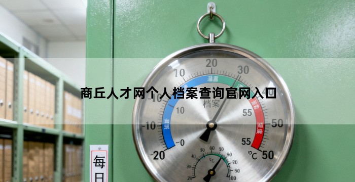 商丘人才网个人档案查询官网入口