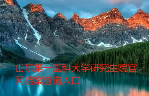 山东第一医科大学研究生院官网档案查询入口