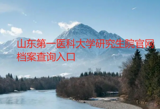 山东第一医科大学研究生院官网档案查询入口