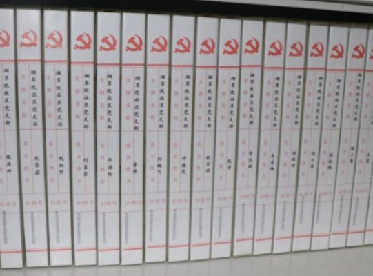 关于党员档案问题大全